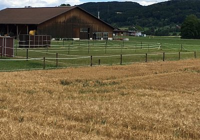 IMG 7312 Anlage Burger