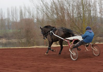 DSC00421 Uranus