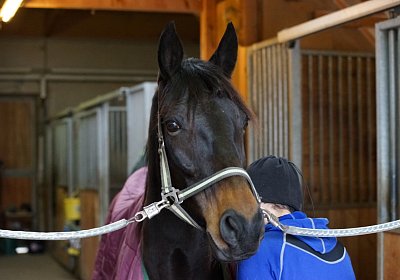 DSC00548 Canone