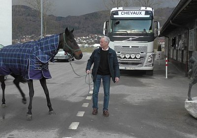 c S2940006 Dastary