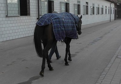 c S2940009 Dastary
