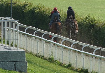 Dasty DSC09948