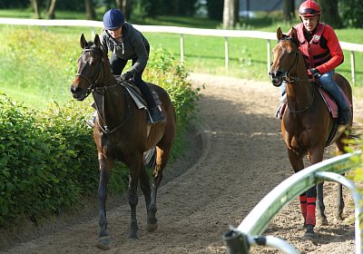 Dasty DSC09973