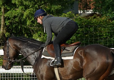Dasty DSC09991