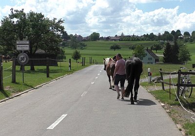 Uri Stall Happy TG S3080081