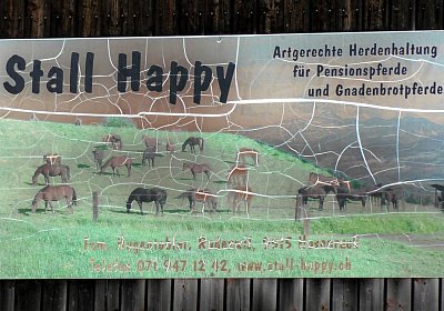 Uri Stall Happy TG S3080083