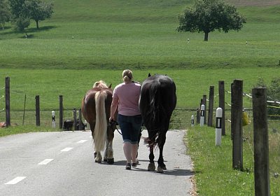 Uri Stall Happy TG S3080084