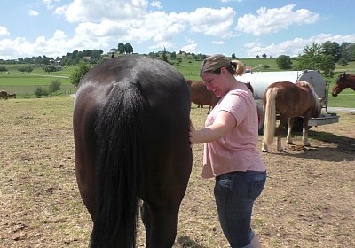 Uri Stall Happy TG S3080101