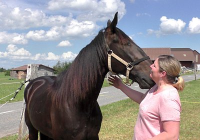 Uri Stall Happy TG S3080103