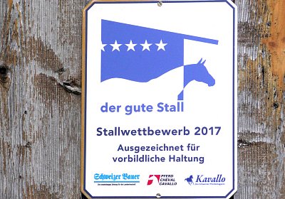 Uri Stall Happy TG S3080104