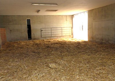 Uri Stall Happy TG S3080107