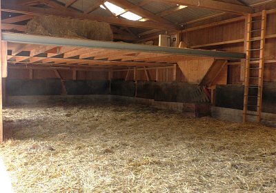 Uri Stall Happy TG S3080114