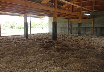 Uri Stall Happy TG S3080116