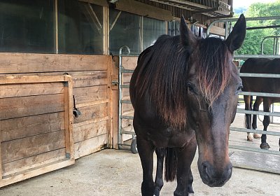 Uri at Home IMG 0726