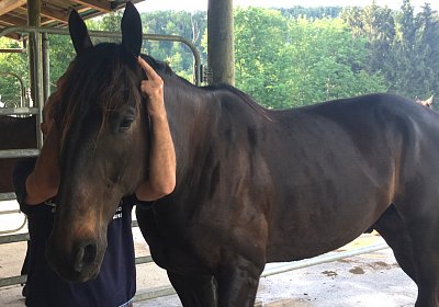 Uri at Home IMG 0731