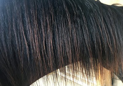 Uri at Home IMG 0735