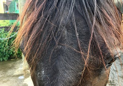 Uri at Home IMG 0739