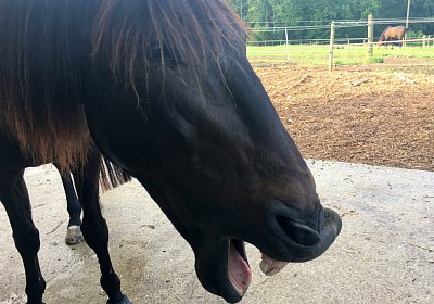 Uri at Home IMG 0740