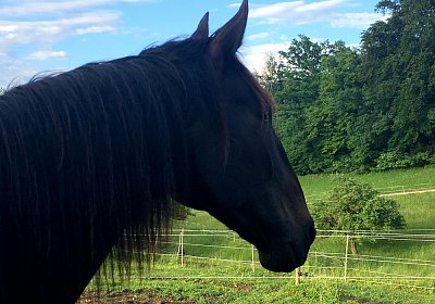 Uri at Home IMG 0743