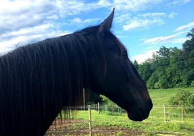 Uri at Home IMG 0744