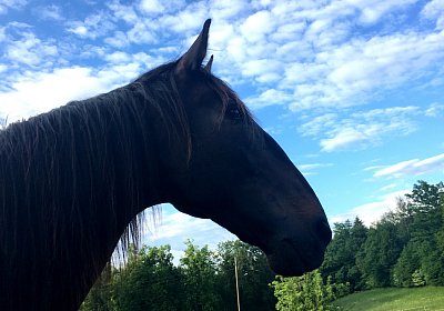 Uri at Home IMG 0745