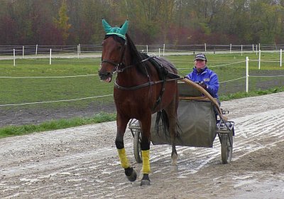 Fernando S3340026