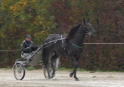 Jack S3340041