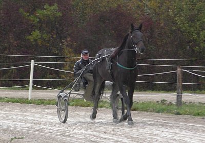 Jack S3340042