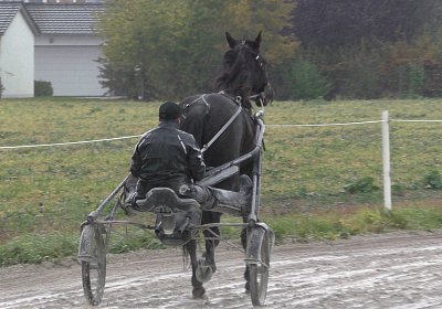 Jack S3340044