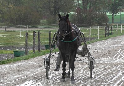 Jack S3340050