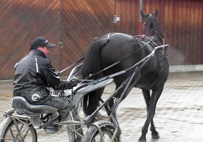 Jack S3340054
