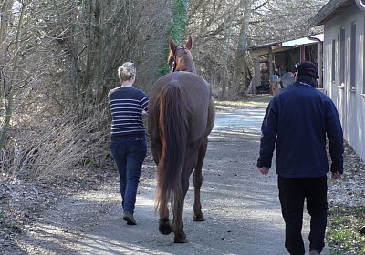 2019 02 27 VEGAS Ankunf A S3380023