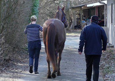 2019 02 27 VEGAS Ankunf A S3380024