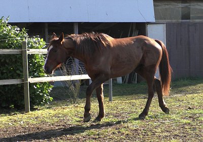 2019 02 27 VEGAS Ankunf A S3380025