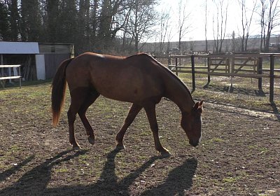 2019 02 27 VEGAS Ankunf A S3380027