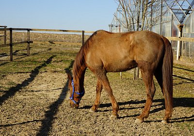 2019 02 27 VEGAS Ankunf DSC09207