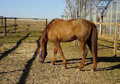 2019 02 27 VEGAS Ankunf DSC09208