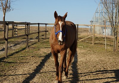 2019 02 27 VEGAS Ankunf DSC09209