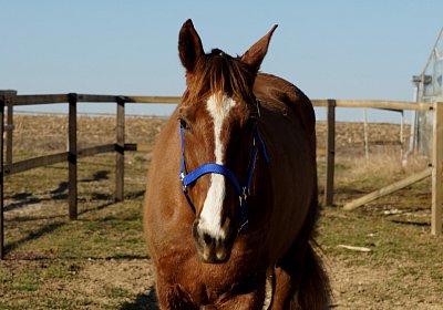 2019 02 27 VEGAS Ankunf DSC09210