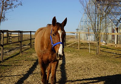 2019 02 27 VEGAS Ankunf DSC09212