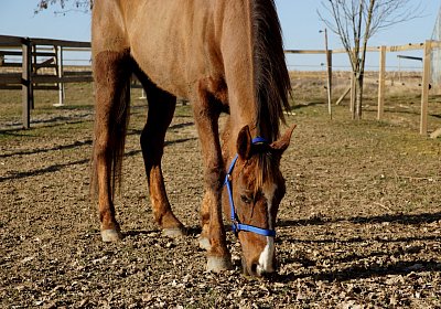 2019 02 27 VEGAS Ankunf DSC09213