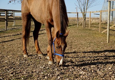 2019 02 27 VEGAS Ankunf DSC09214