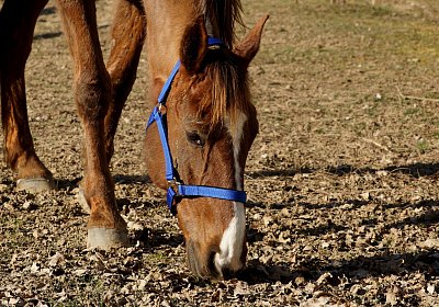 2019 02 27 VEGAS Ankunf DSC09215