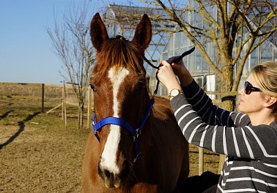 2019 02 27 VEGAS Ankunf DSC09217