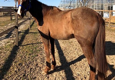 2019 02 27 VEGAS Ankunf FTHZ8654