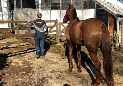 2019 02 27 VEGAS Ankunf IMG 2472