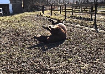 2019 02 27 VEGAS Ankunf IMG 2476