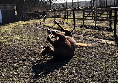 2019 02 27 VEGAS Ankunf IMG 2477