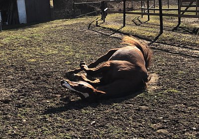 2019 02 27 VEGAS Ankunf IMG 2478