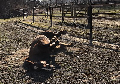 2019 02 27 VEGAS Ankunf IMG 2479